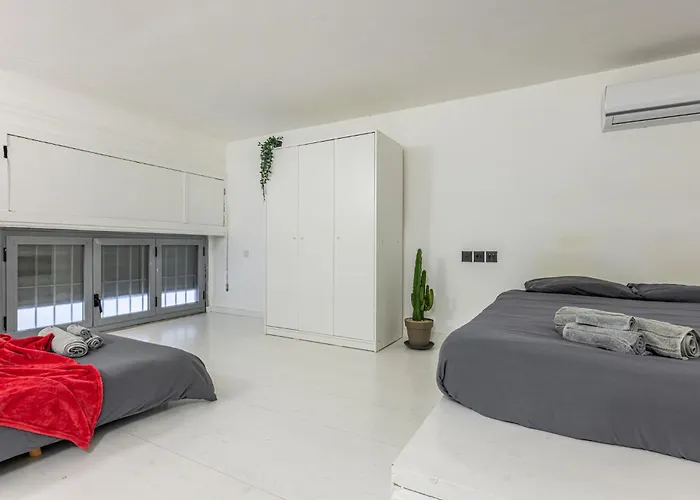 Apartamento Trilocale Nolo